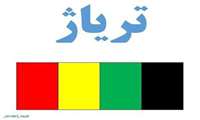 وبینار تریاژ برگزار می گردد